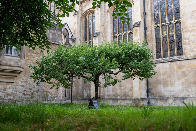 cambridge9