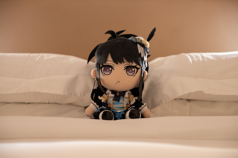 sheraton bed 2