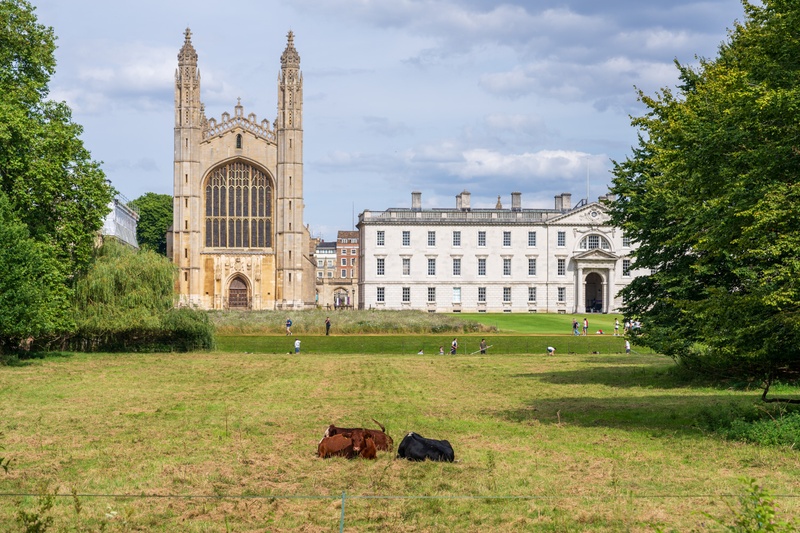 cambridge13