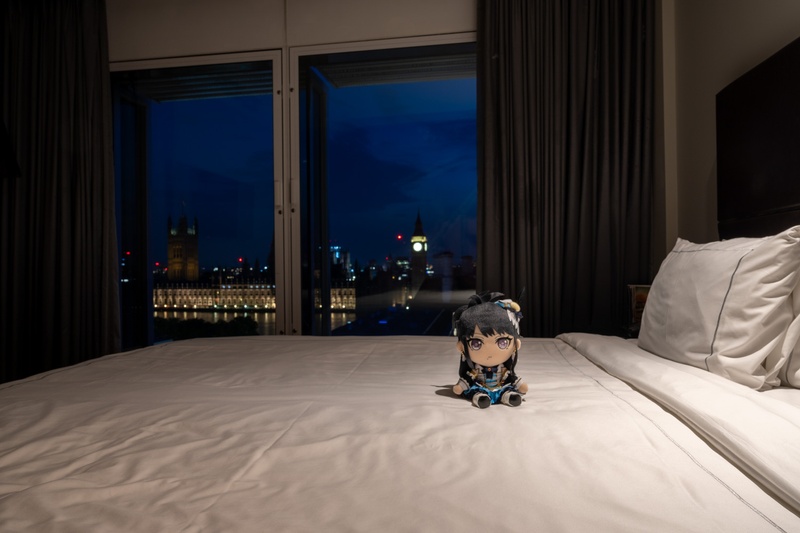 park plaza4