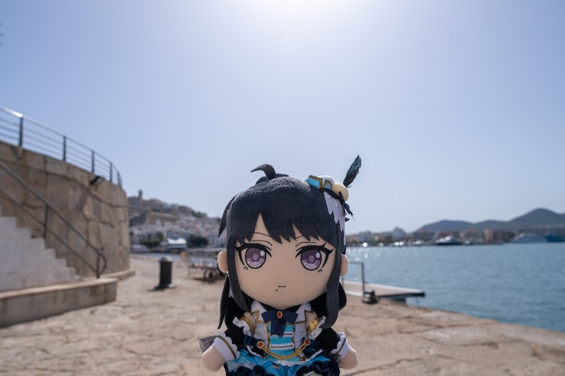 ibz port hio2