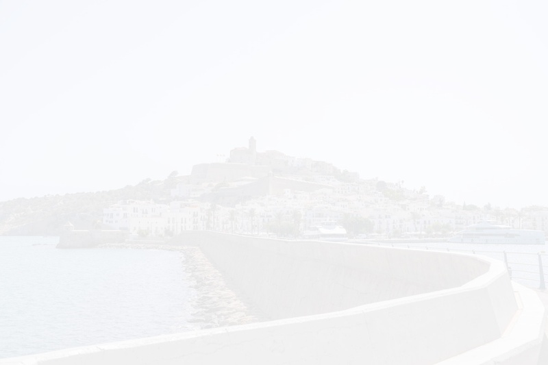 ibz port11 2